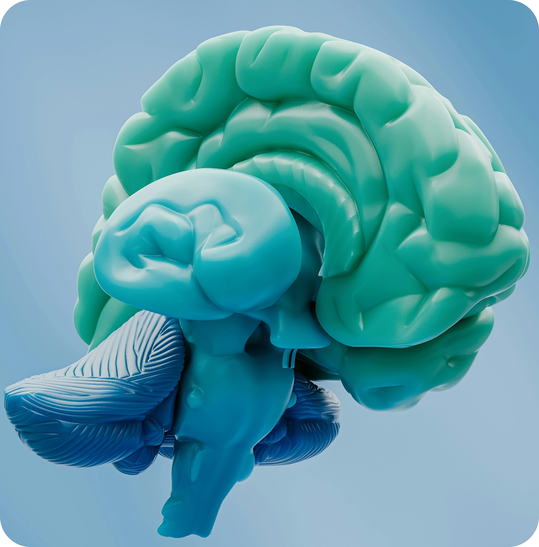 Metabolism and stress reduction
