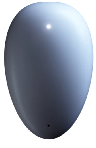 Pebble